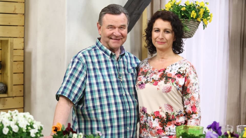 Paní Magda Lebišová představí skromné macešky